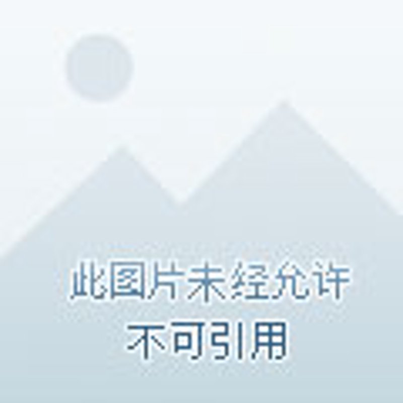济宁幼儿园教育动态：拥抱变化与机遇